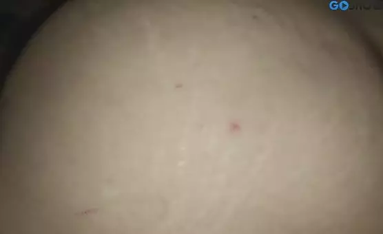 Ass Riding and Anal Excitement